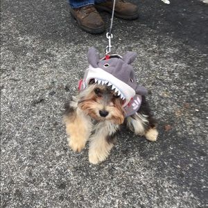 Meet your Posher, Phyllis